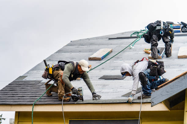 Professional Gutter Installation technician working in Pandora, TX